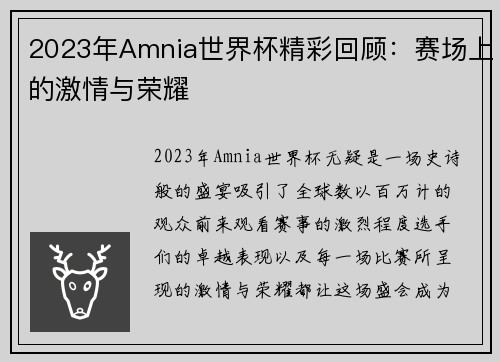 2023年Amnia世界杯精彩回顾：赛场上的激情与荣耀