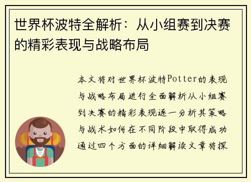 世界杯波特全解析：从小组赛到决赛的精彩表现与战略布局